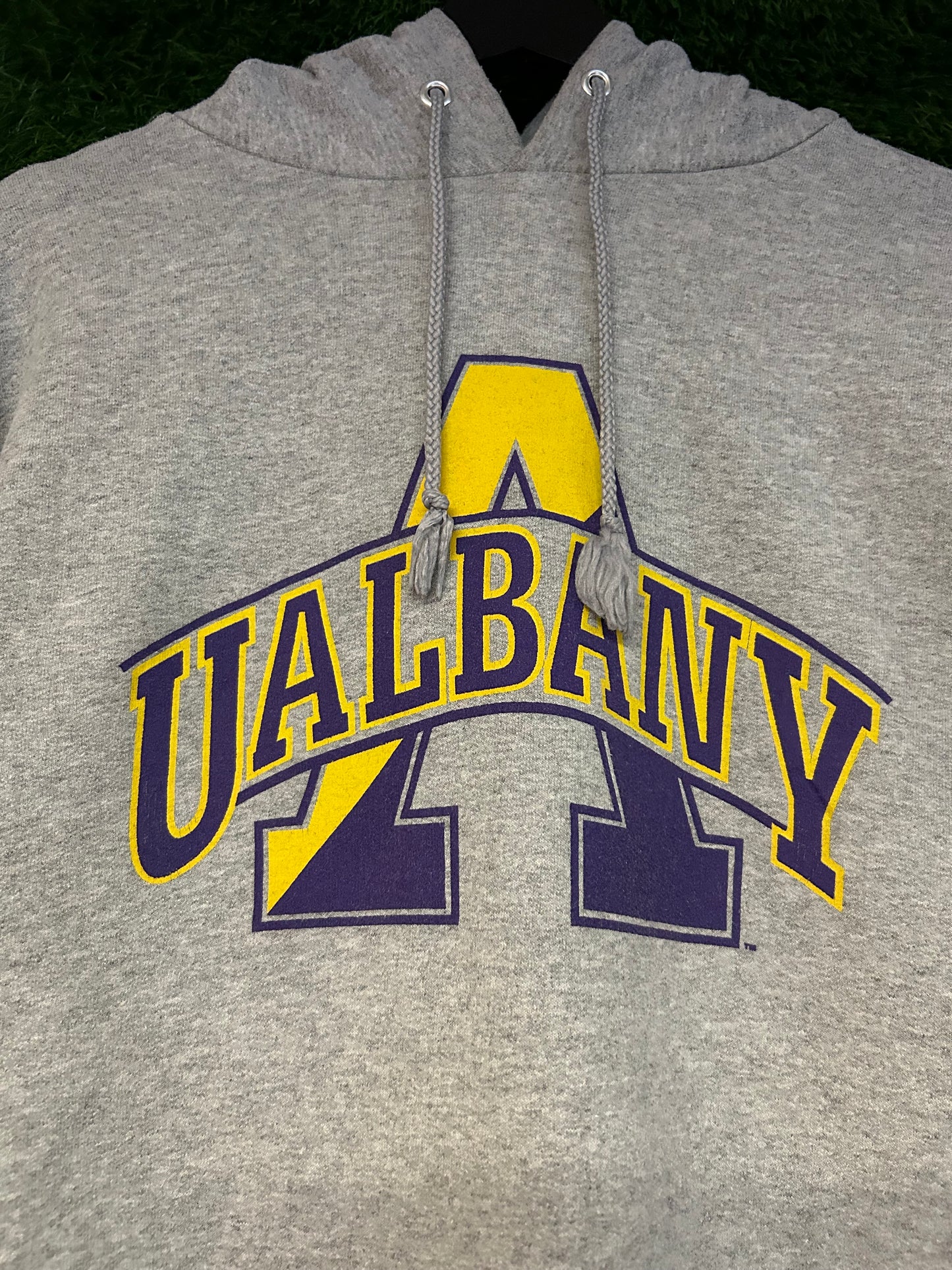 Champion Ualbany Hoodie L