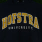 Champion Hofstra Hoodie M