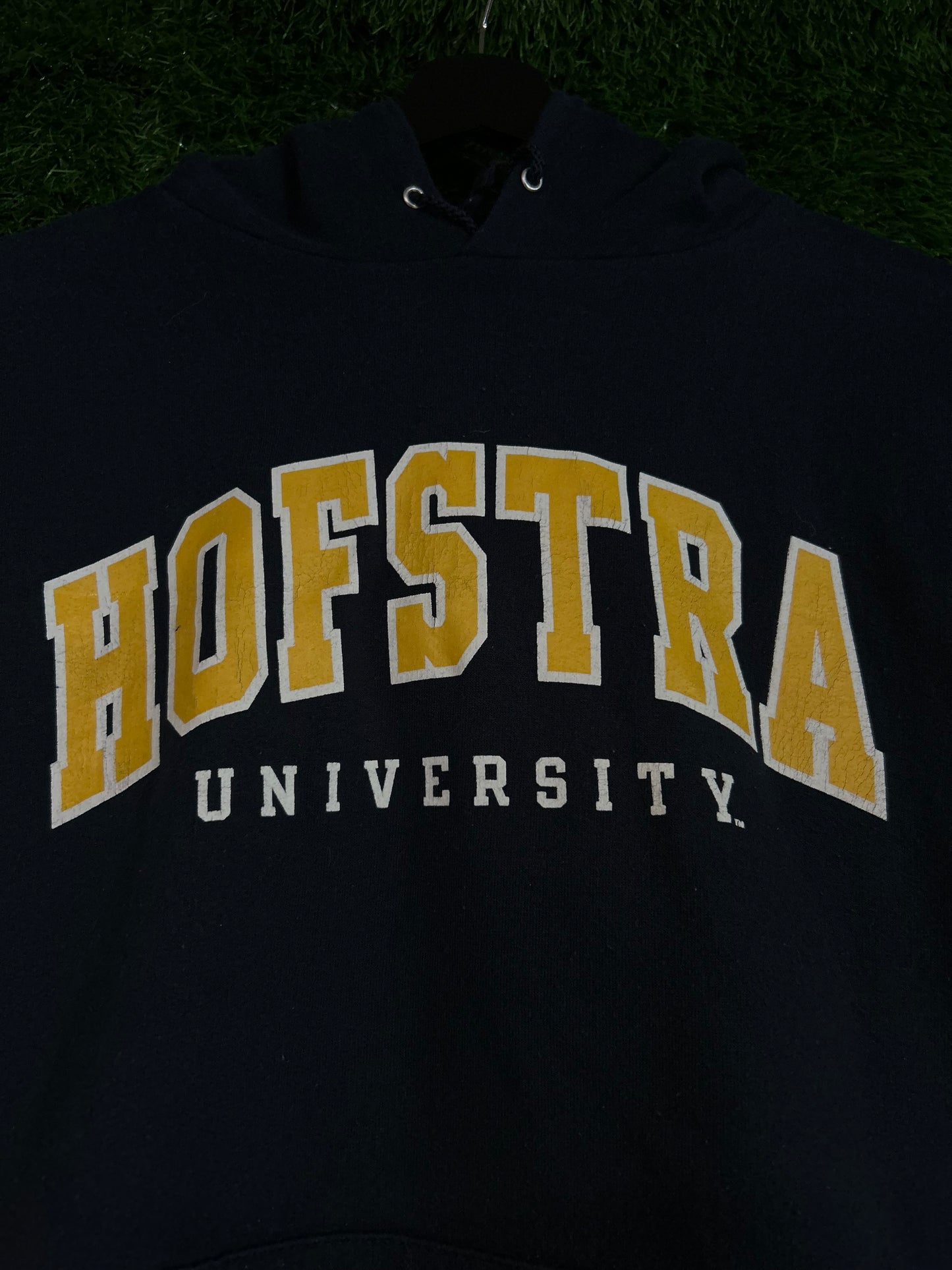 Champion Hofstra Hoodie M