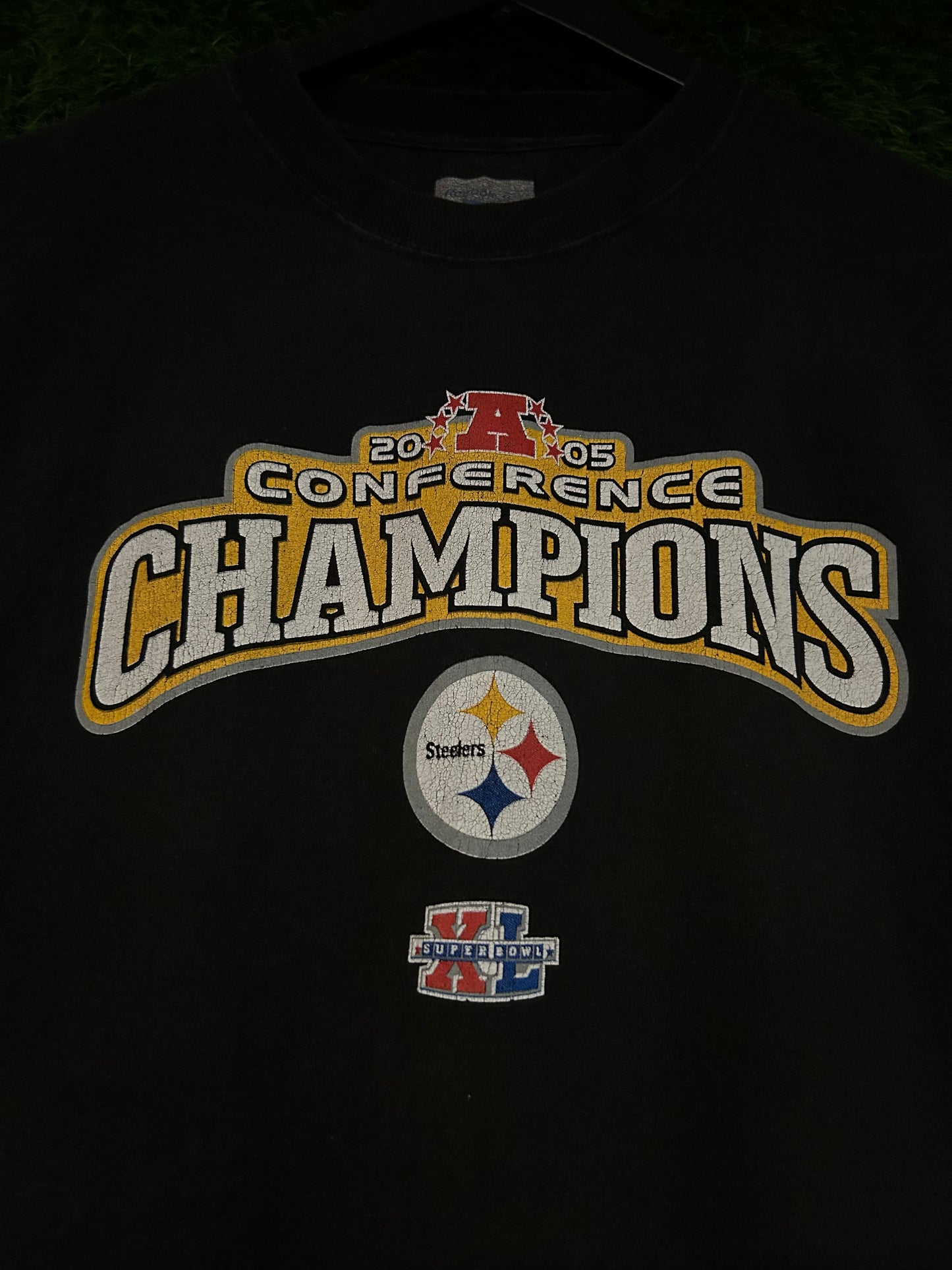 Steelers Champions M